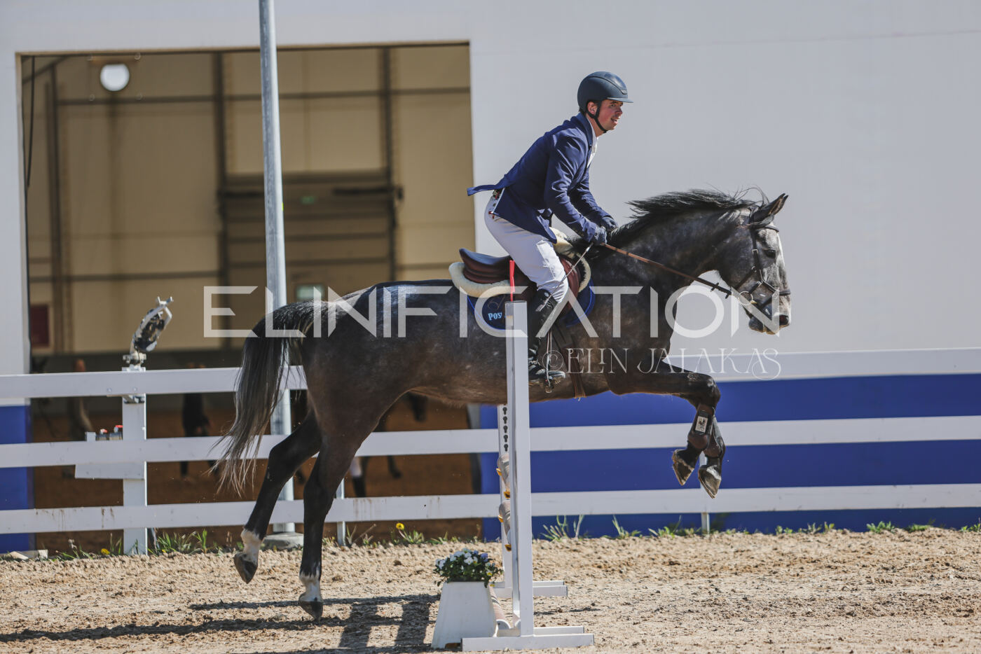 Gramina_Kevad_2026_80_492