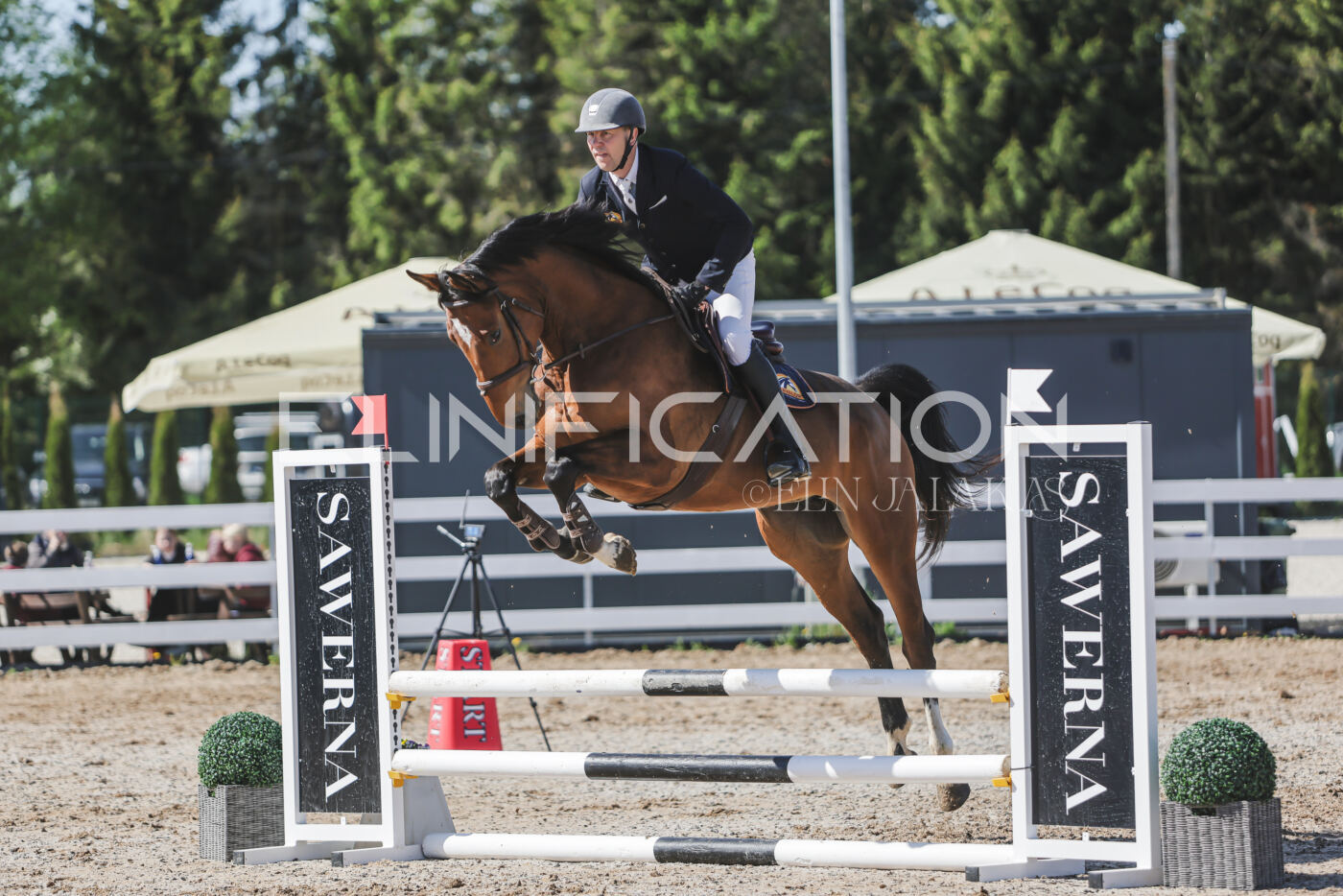 Gramina_Kevad_2026_80_493