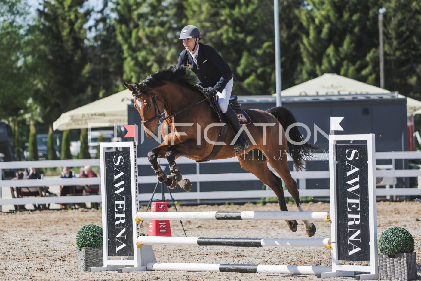 Gramina_Kevad_2026_80_494