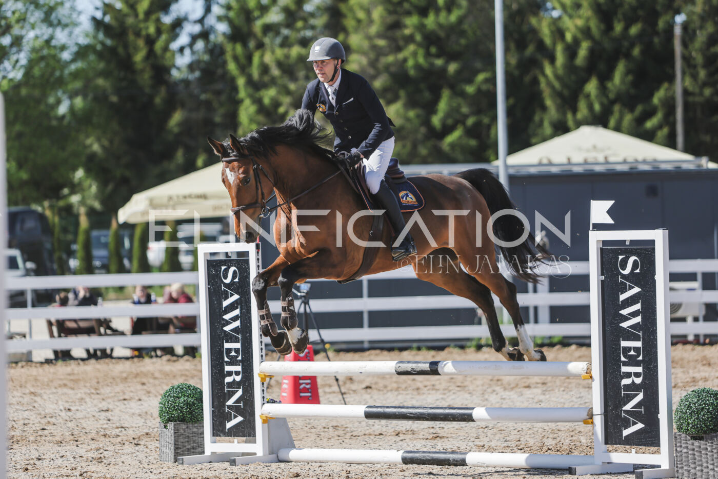 Gramina_Kevad_2026_80_495