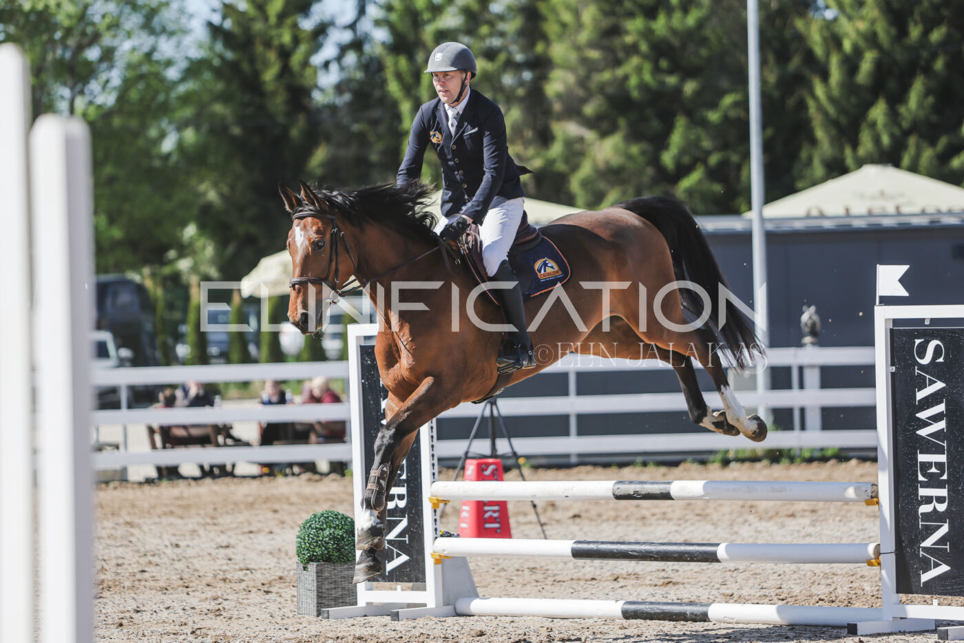 Gramina_Kevad_2026_80_497