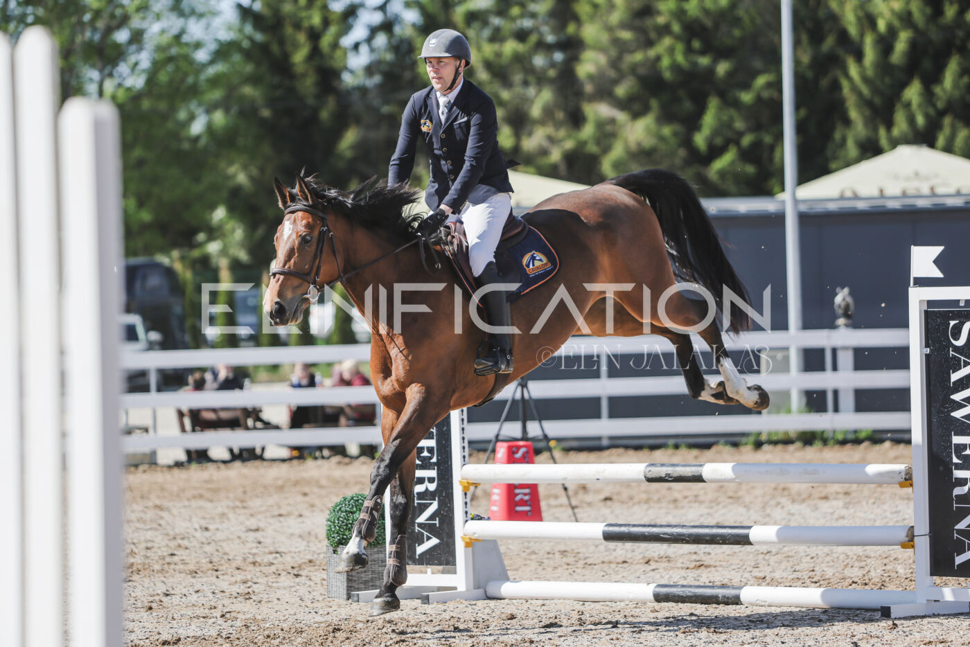Gramina_Kevad_2026_80_498