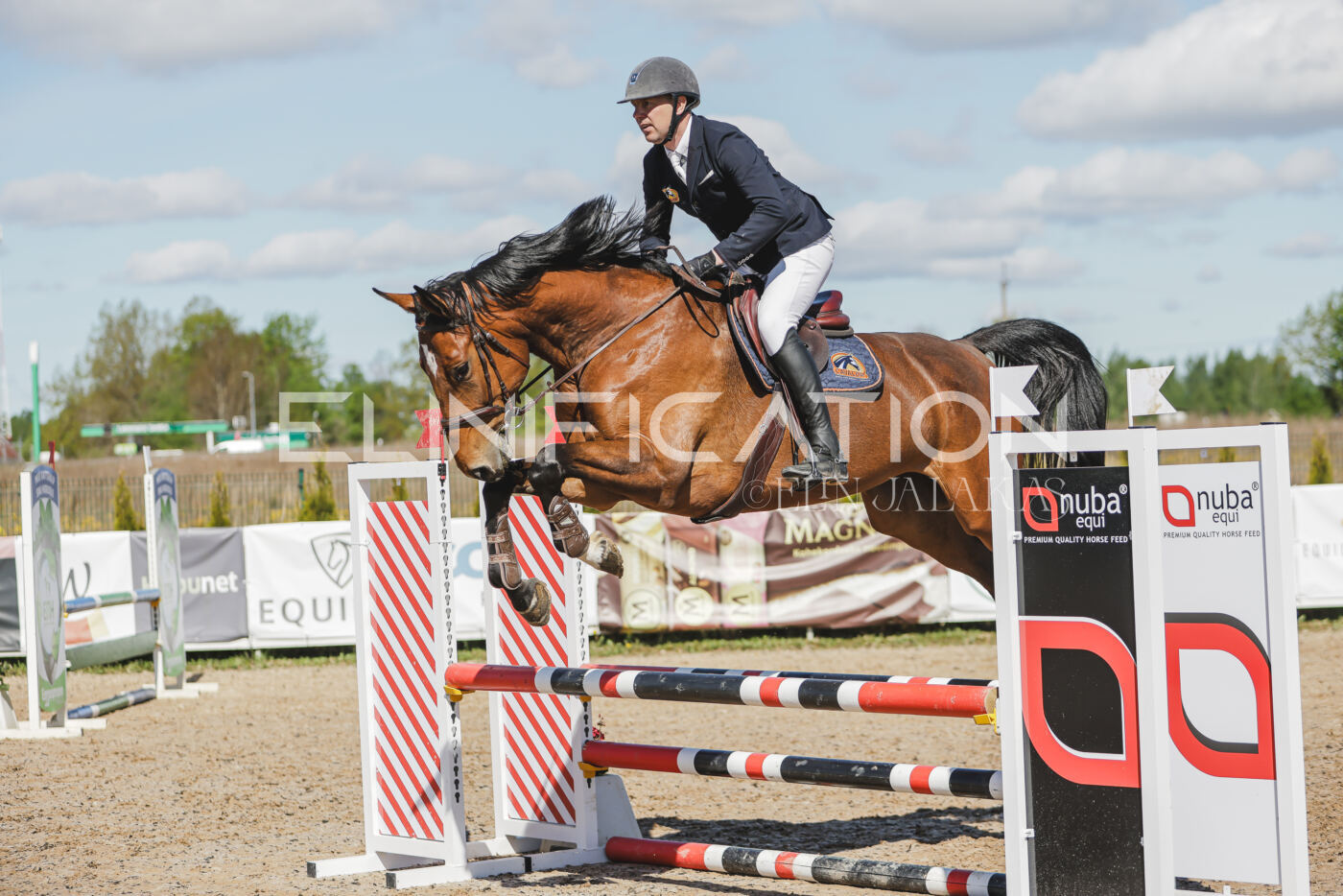 Gramina_Kevad_2026_80_500
