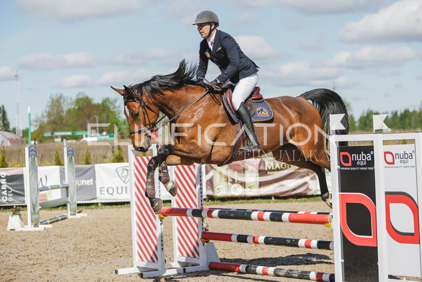 Gramina_Kevad_2026_80_501