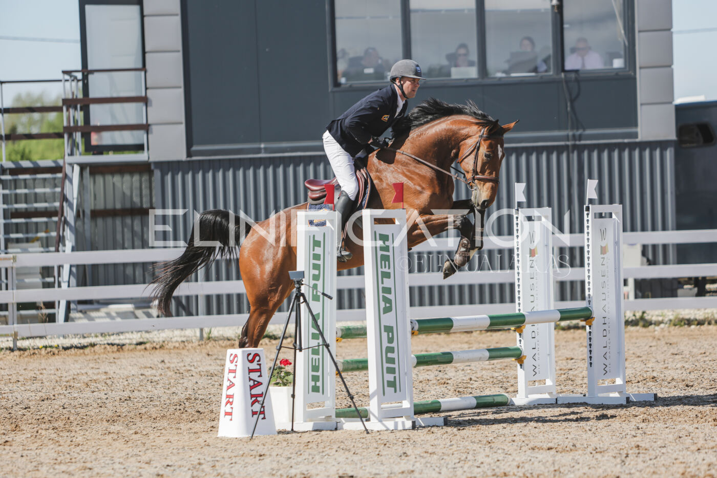 Gramina_Kevad_2026_80_504