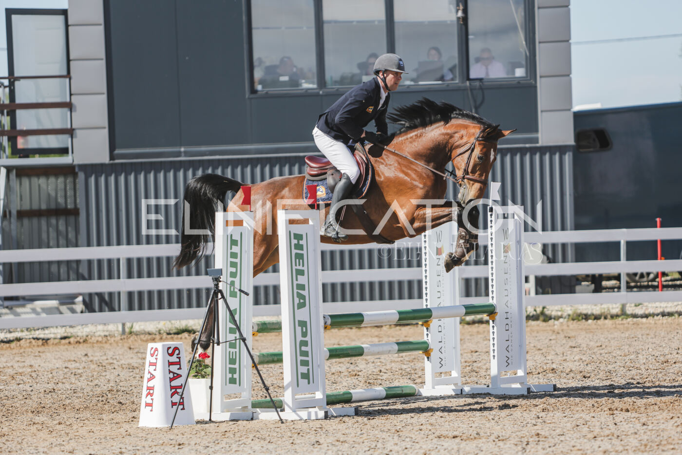 Gramina_Kevad_2026_80_506