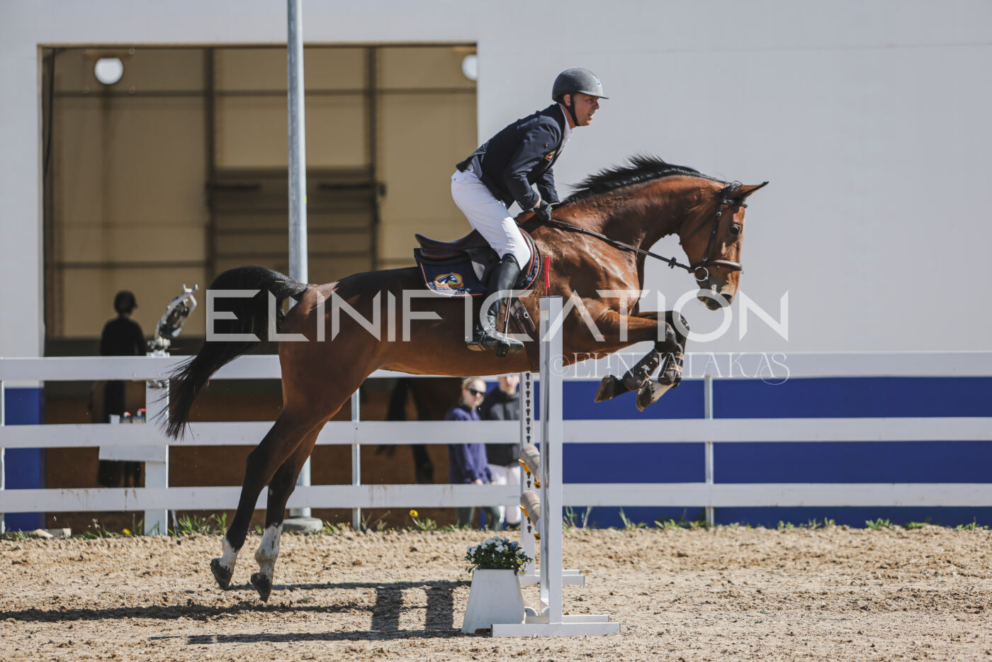 Gramina_Kevad_2026_80_514