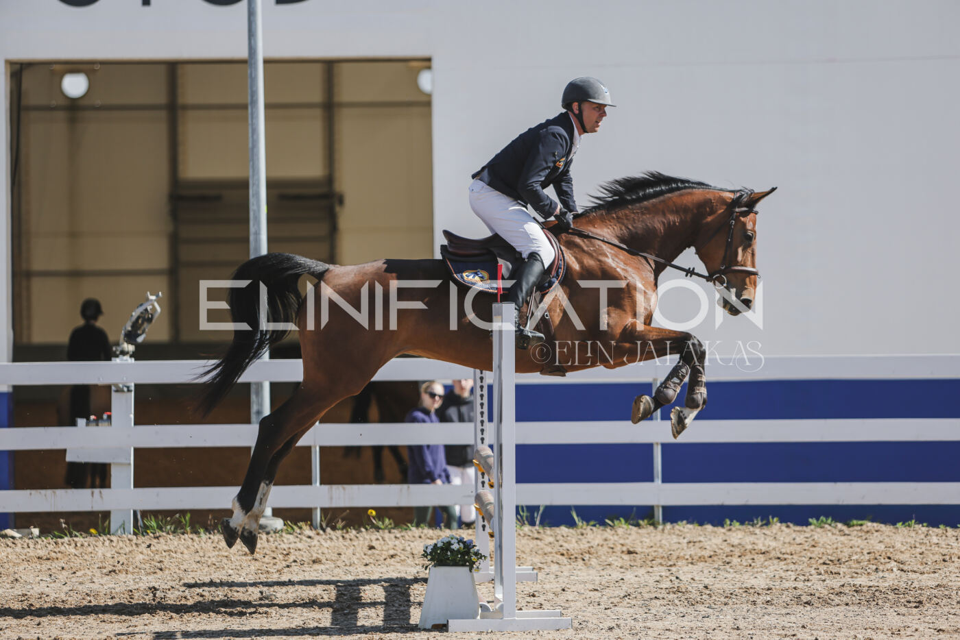 Gramina_Kevad_2026_80_515