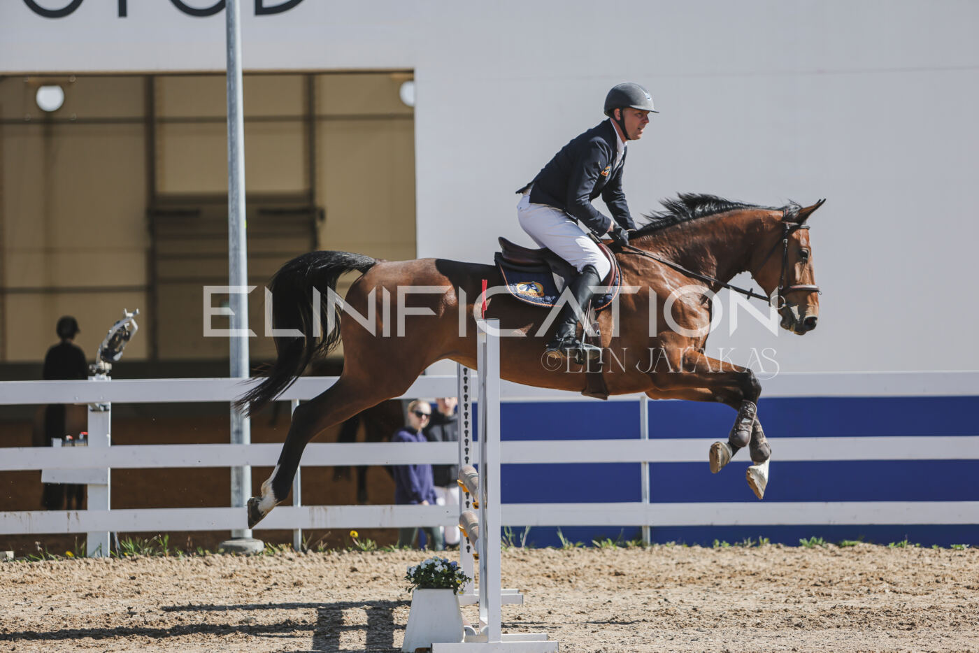 Gramina_Kevad_2026_80_516