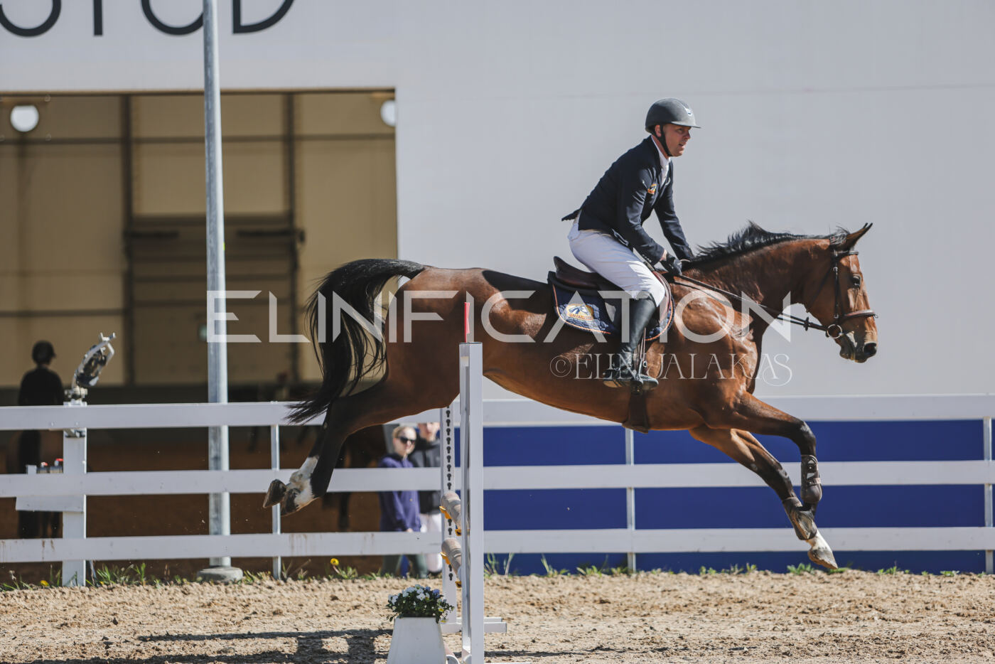 Gramina_Kevad_2026_80_517