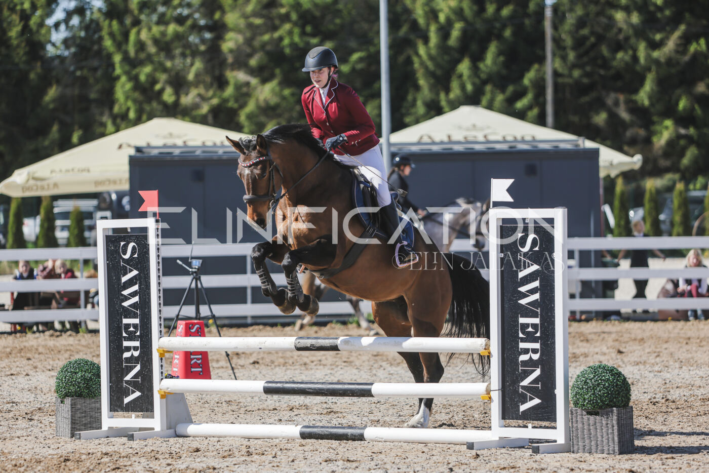 Gramina_Kevad_2026_80_518