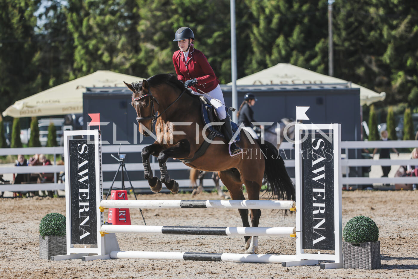 Gramina_Kevad_2026_80_519