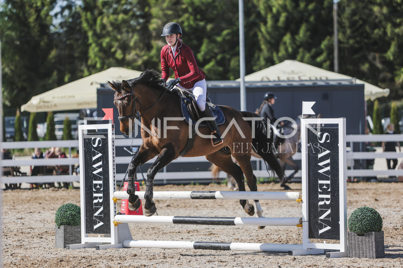 Gramina_Kevad_2026_80_521
