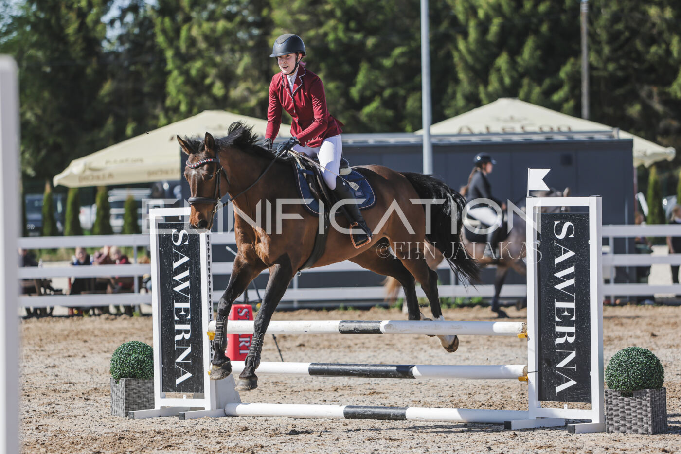 Gramina_Kevad_2026_80_522