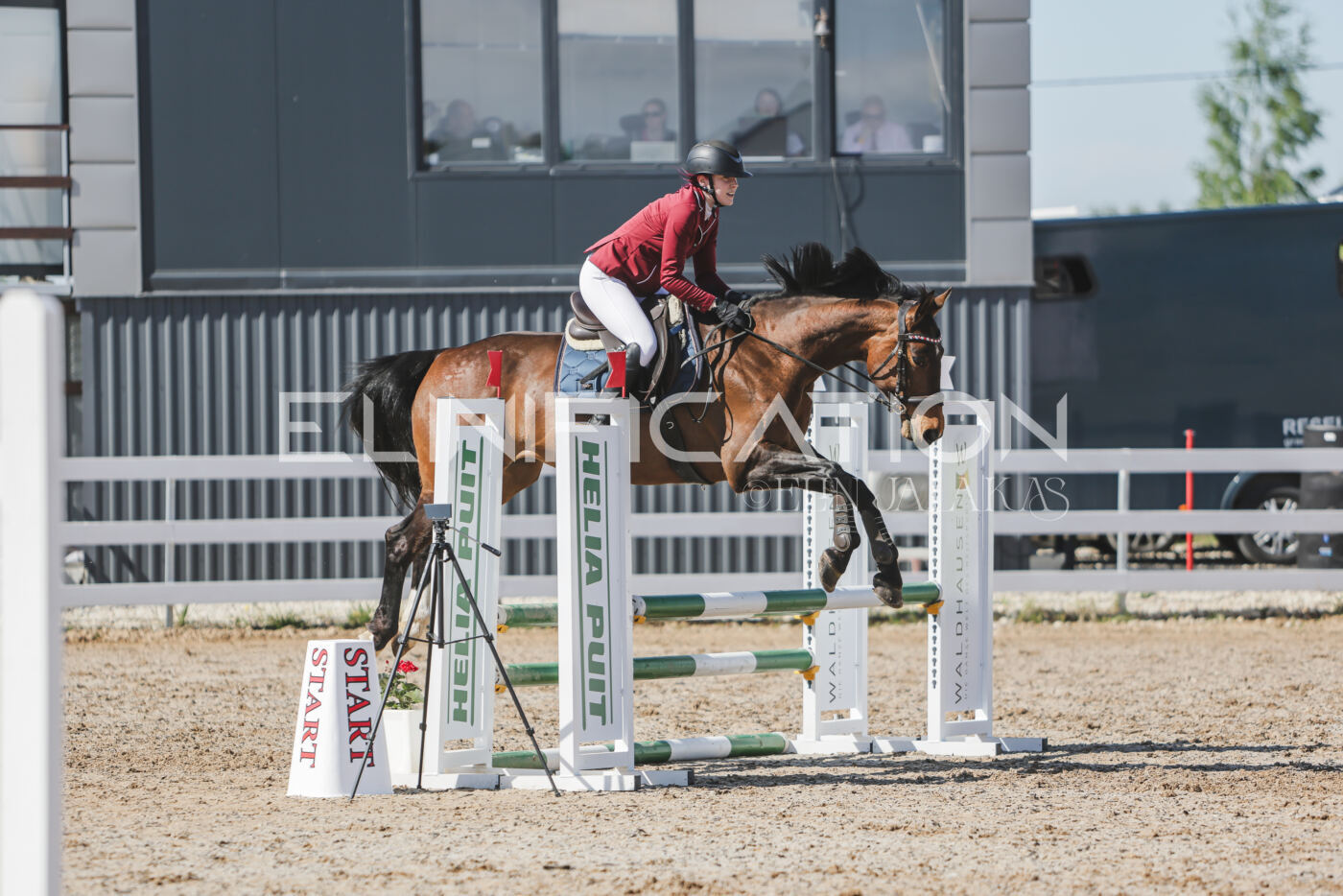 Gramina_Kevad_2026_80_527