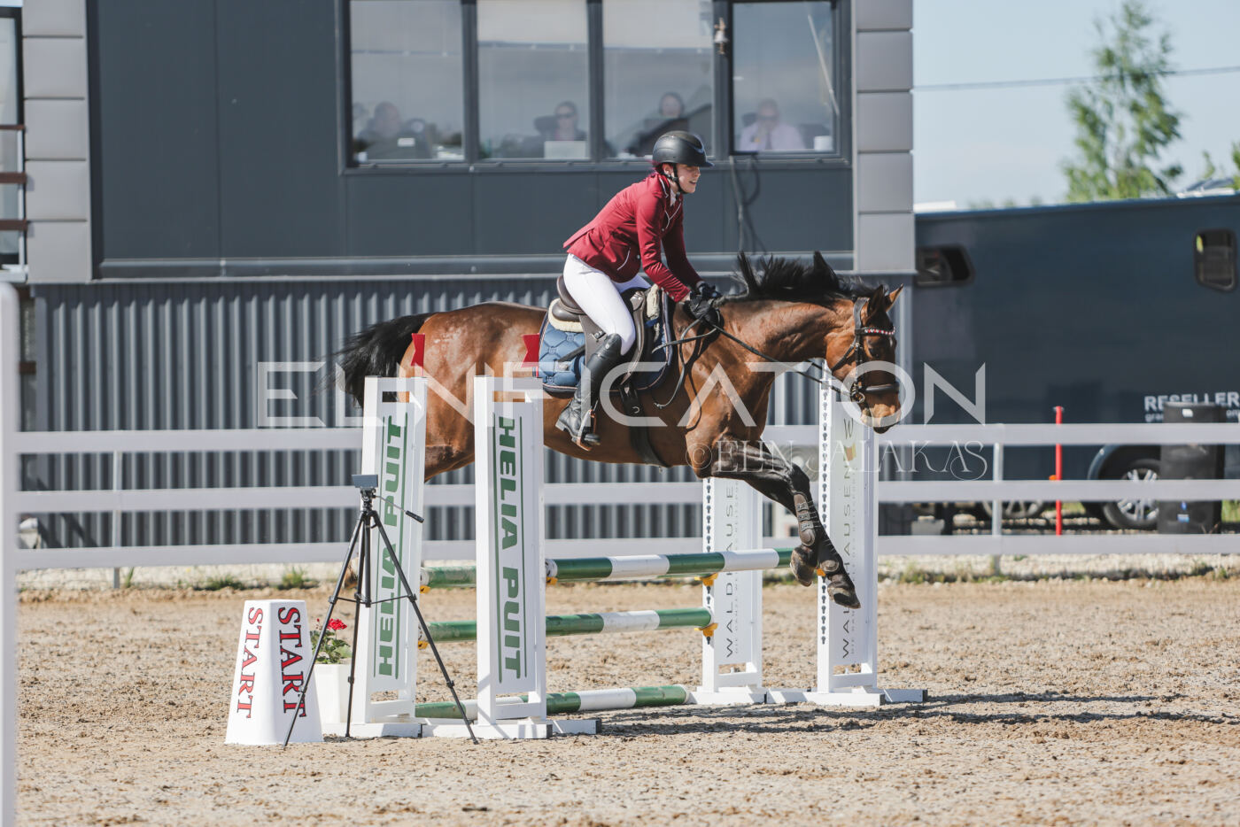 Gramina_Kevad_2026_80_528