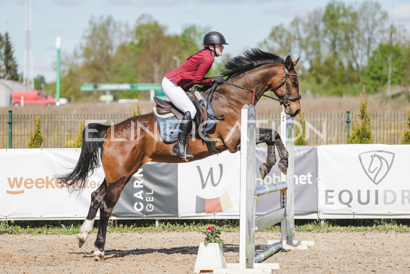 Gramina_Kevad_2026_80_530