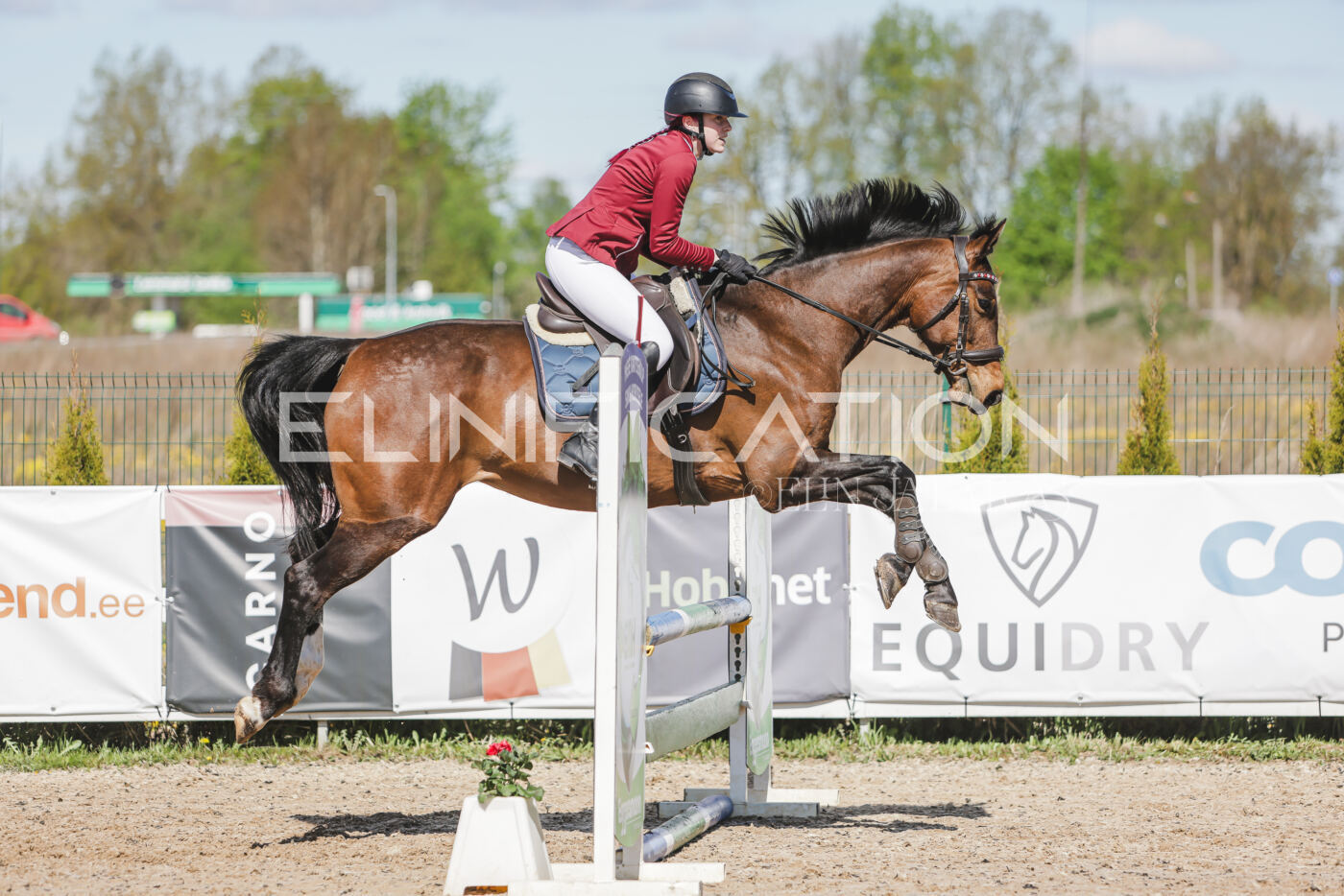 Gramina_Kevad_2026_80_532