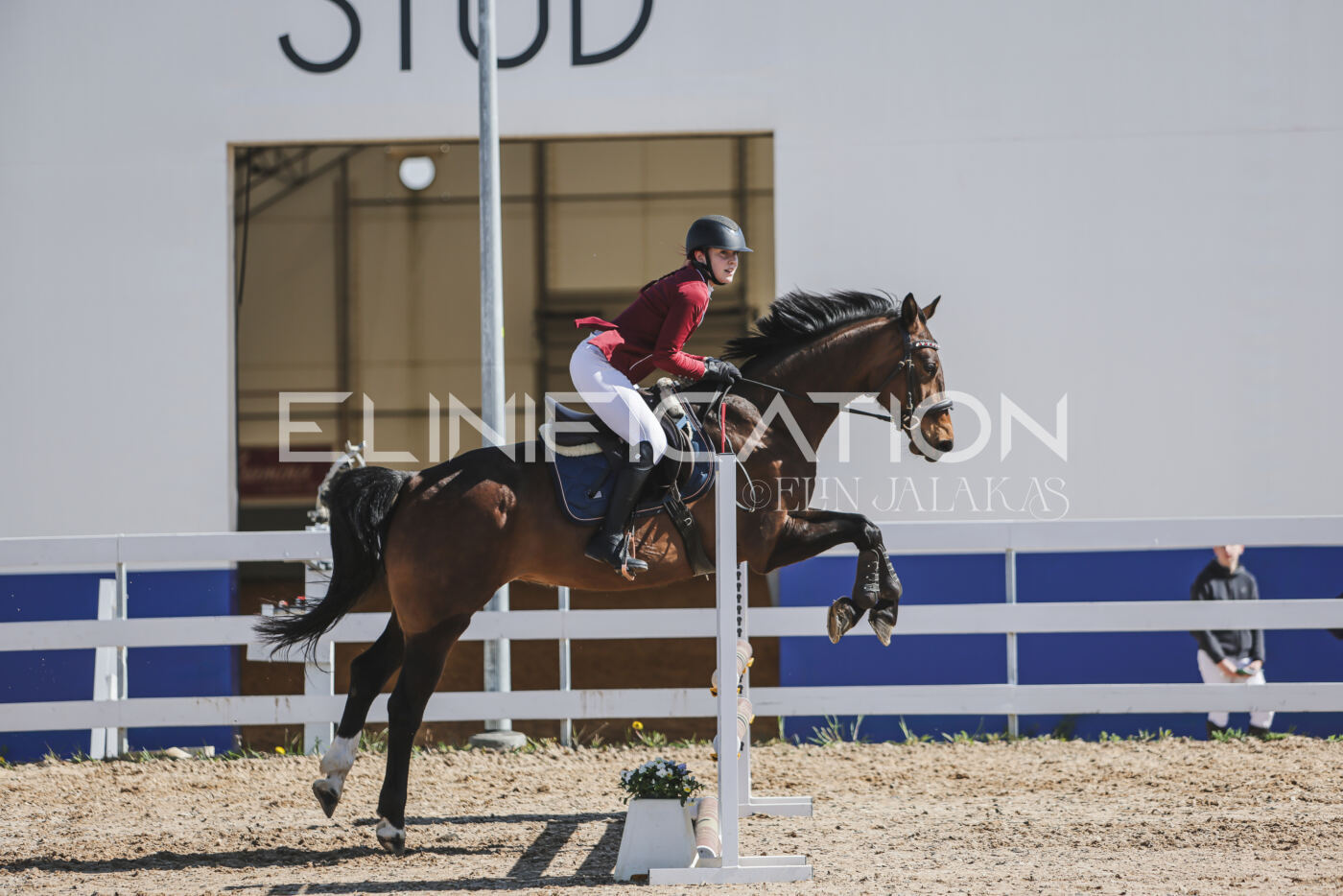Gramina_Kevad_2026_80_534