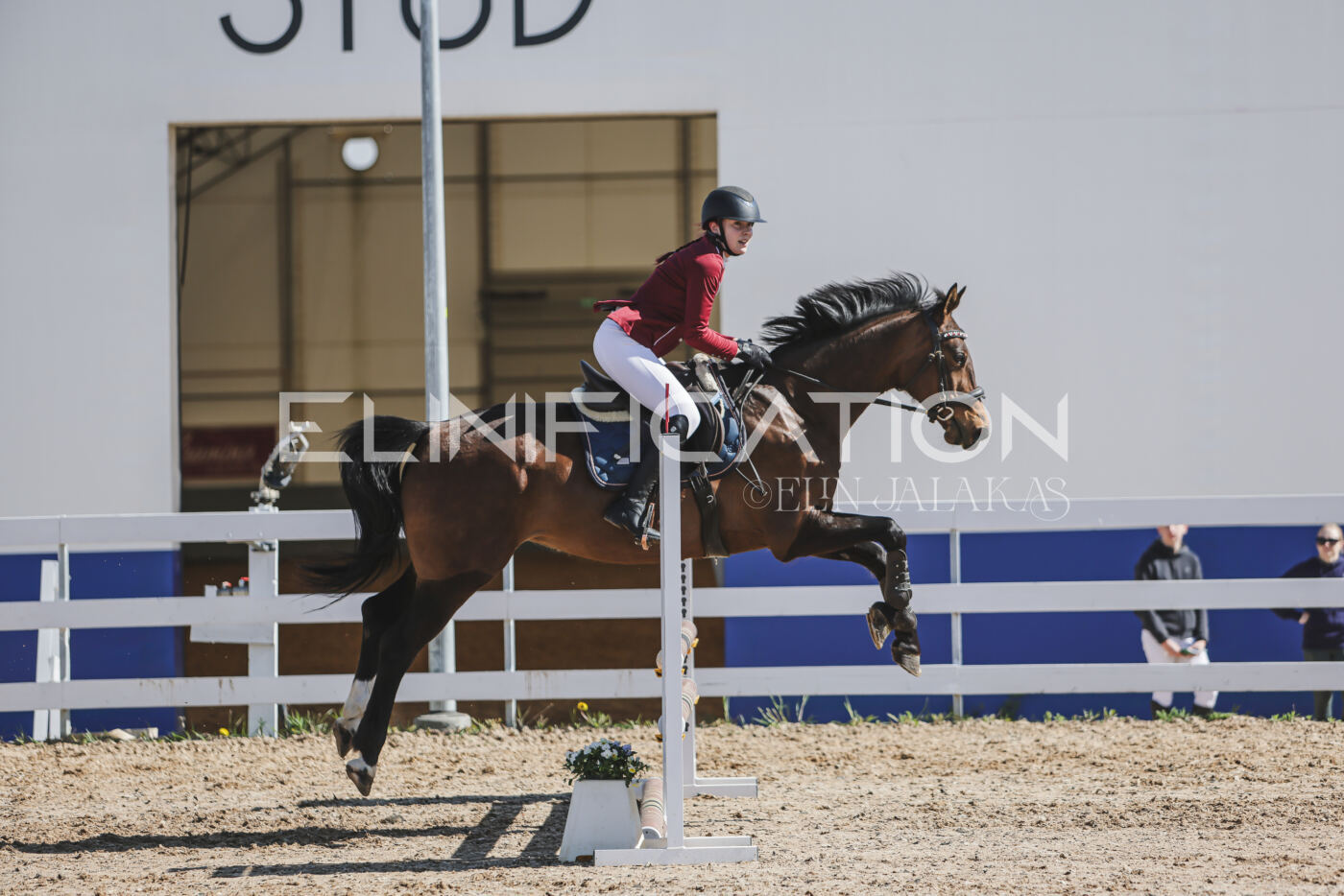 Gramina_Kevad_2026_80_535