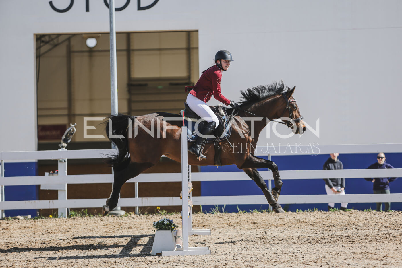 Gramina_Kevad_2026_80_536