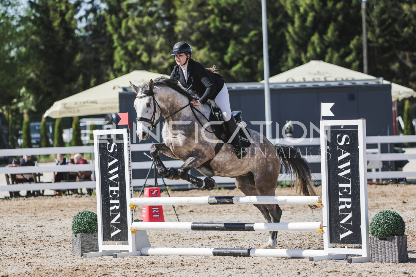 Gramina_Kevad_2026_80_538