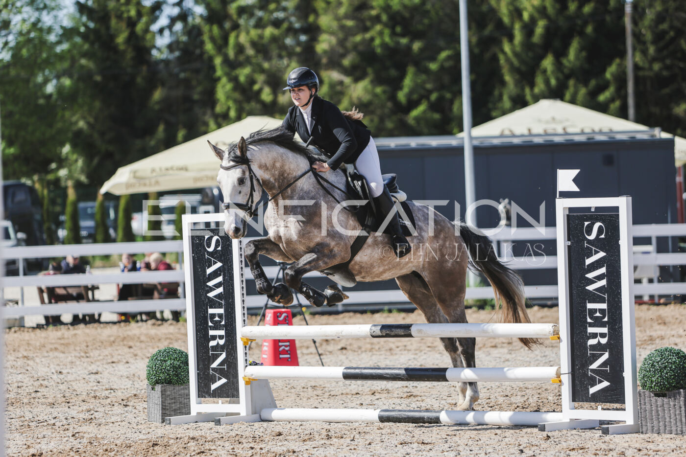 Gramina_Kevad_2026_80_539