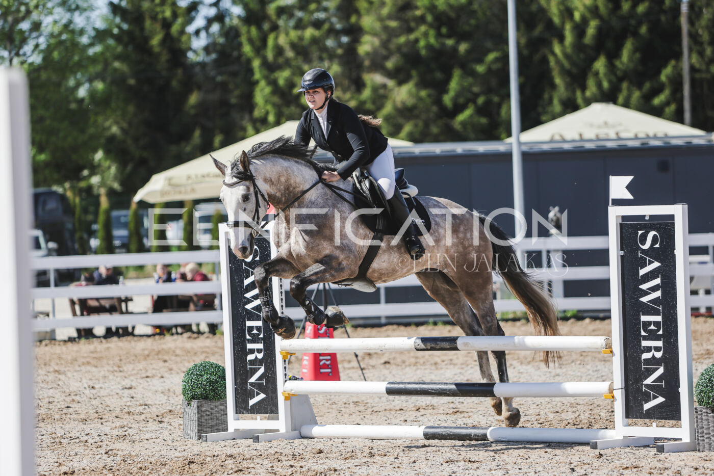 Gramina_Kevad_2026_80_540