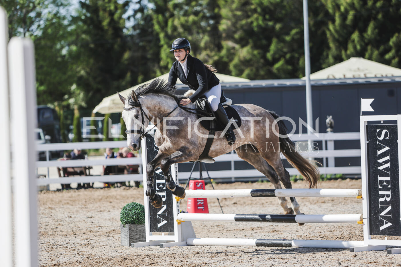 Gramina_Kevad_2026_80_541