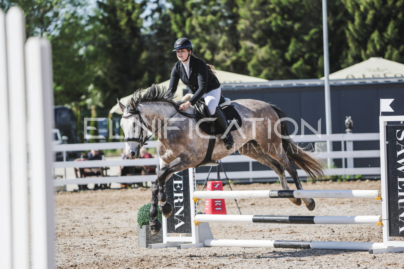 Gramina_Kevad_2026_80_542