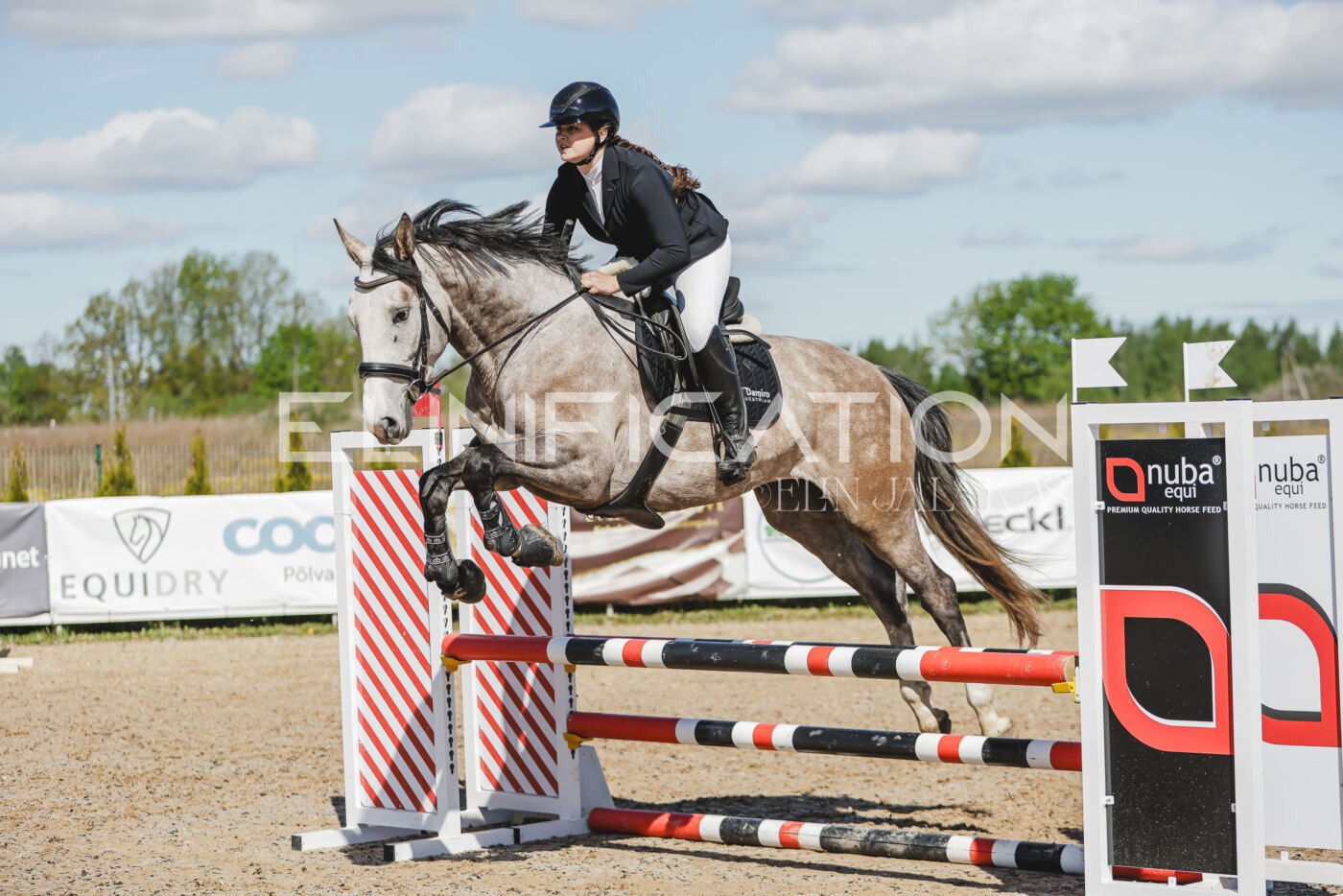 Gramina_Kevad_2026_80_546