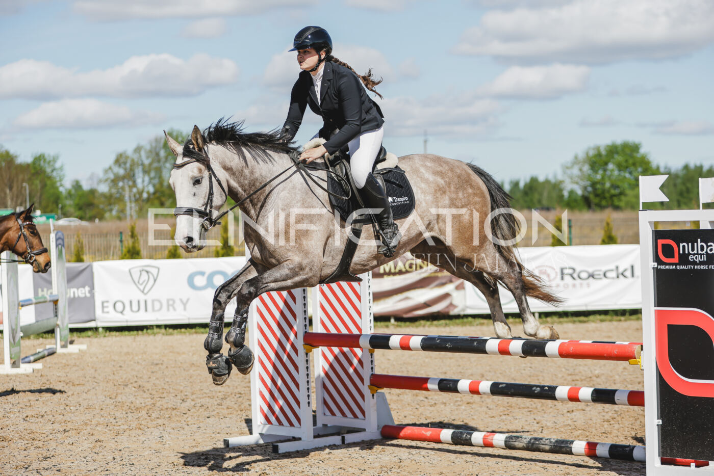 Gramina_Kevad_2026_80_548