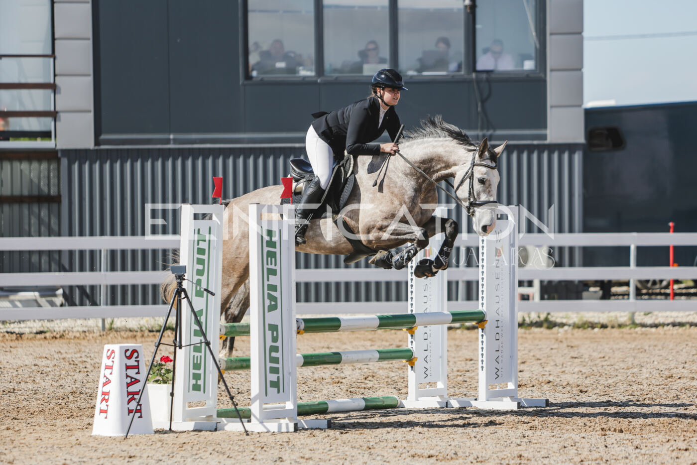 Gramina_Kevad_2026_80_550