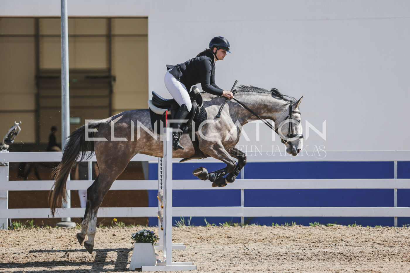 Gramina_Kevad_2026_80_560