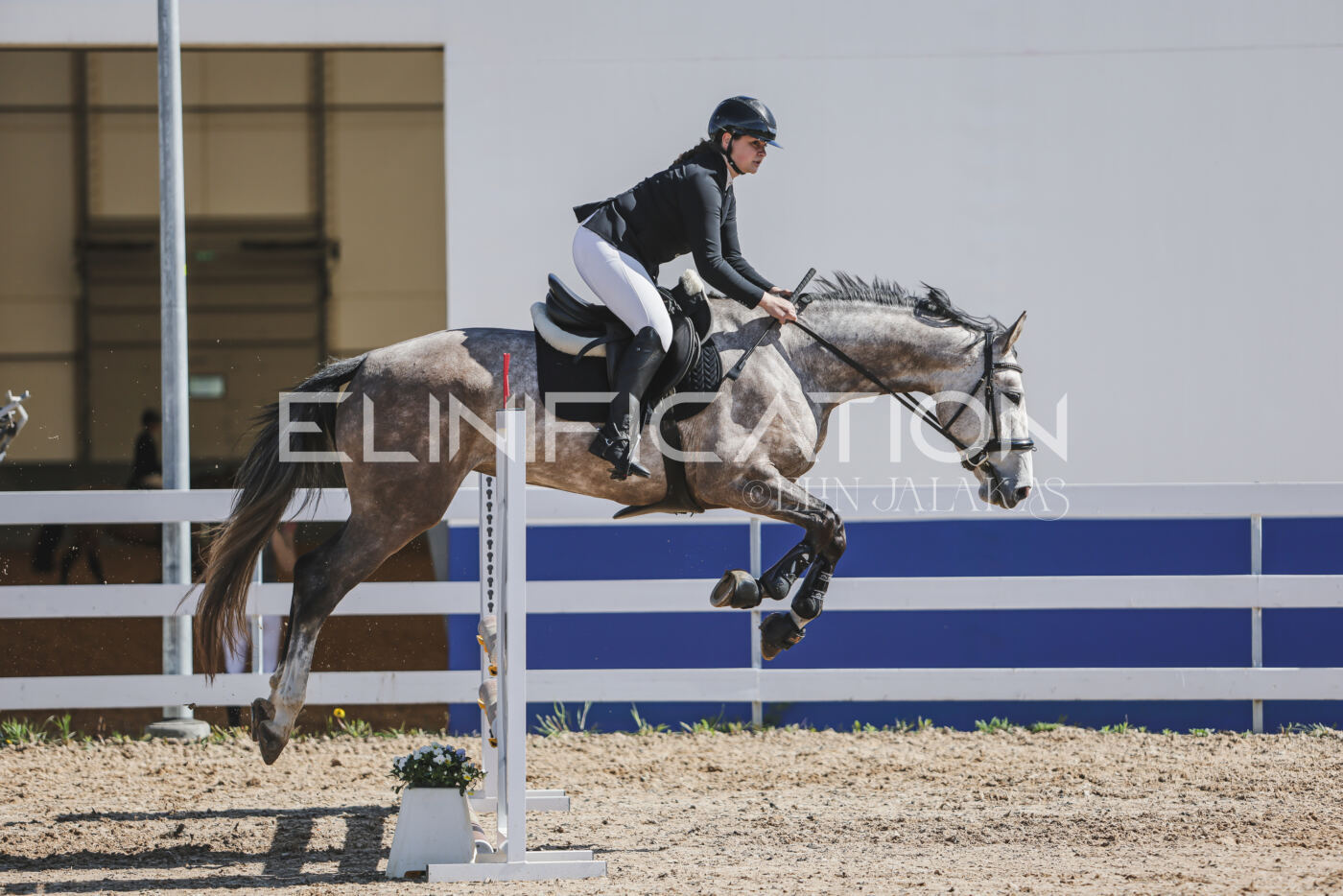 Gramina_Kevad_2026_80_561