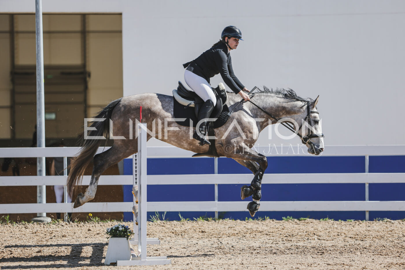 Gramina_Kevad_2026_80_562