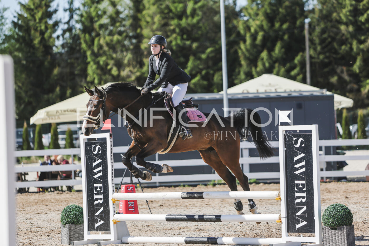Gramina_Kevad_2026_80_568