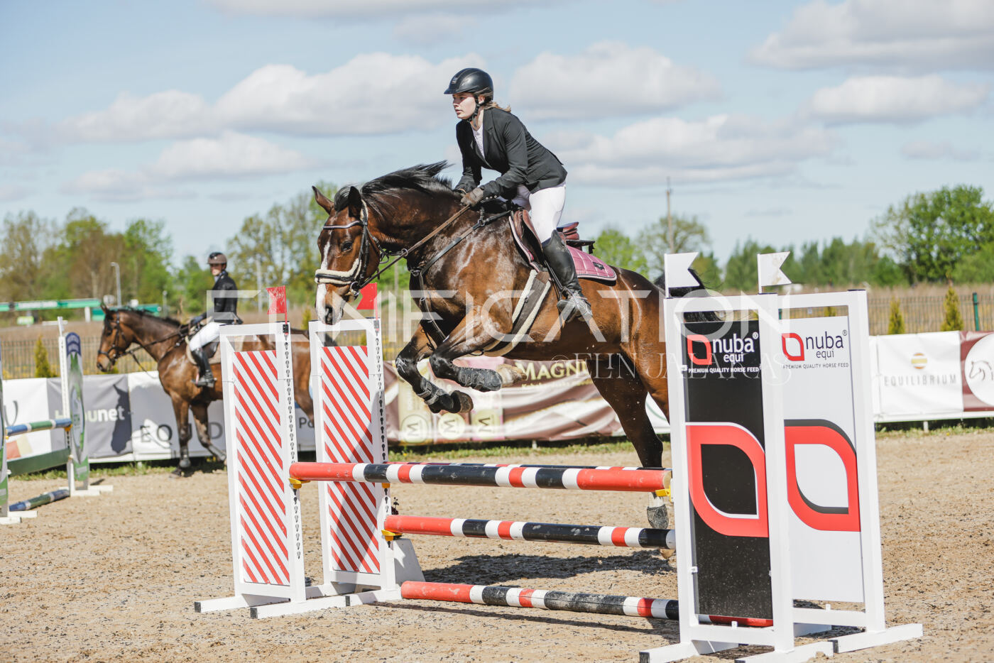 Gramina_Kevad_2026_80_570