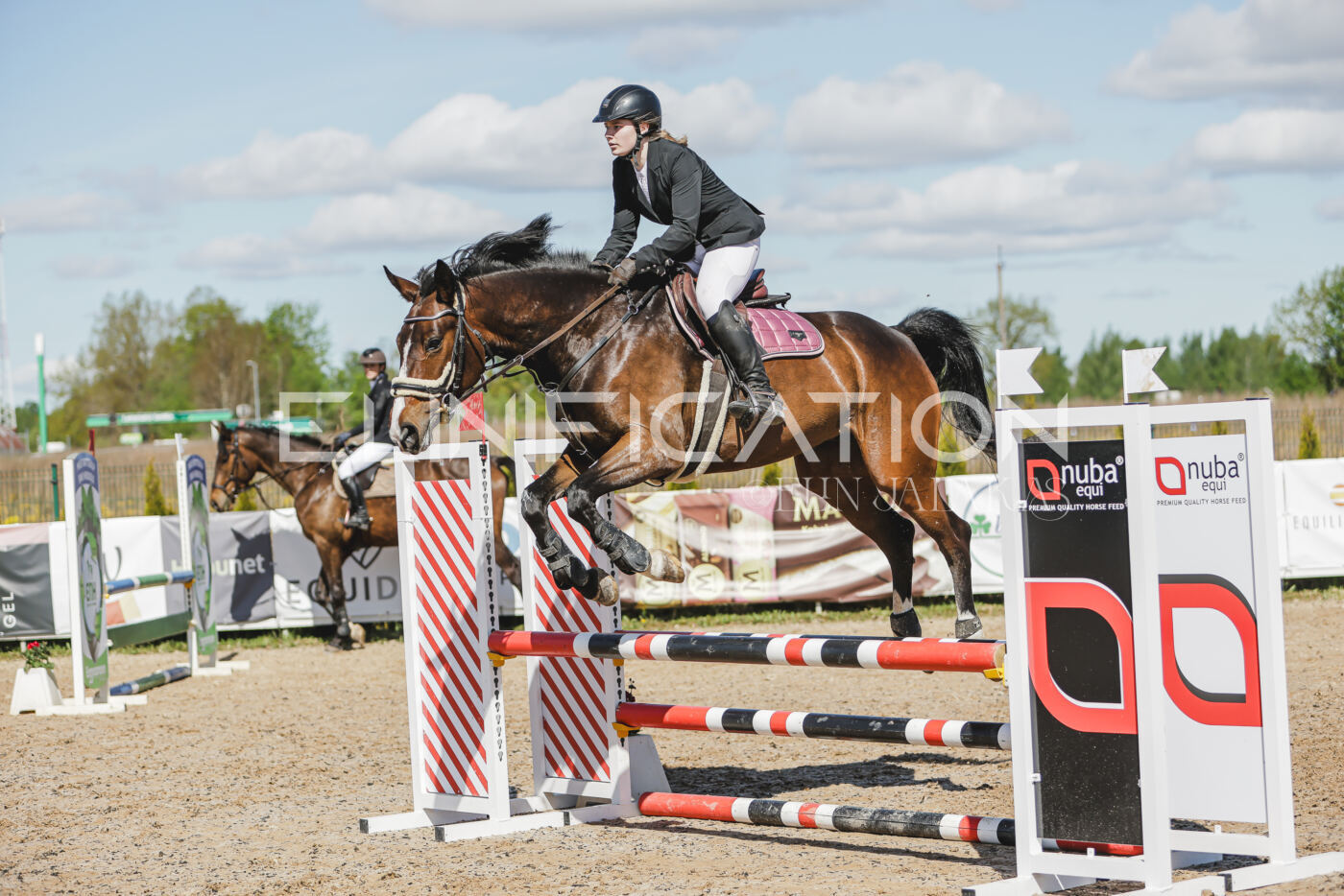 Gramina_Kevad_2026_80_572