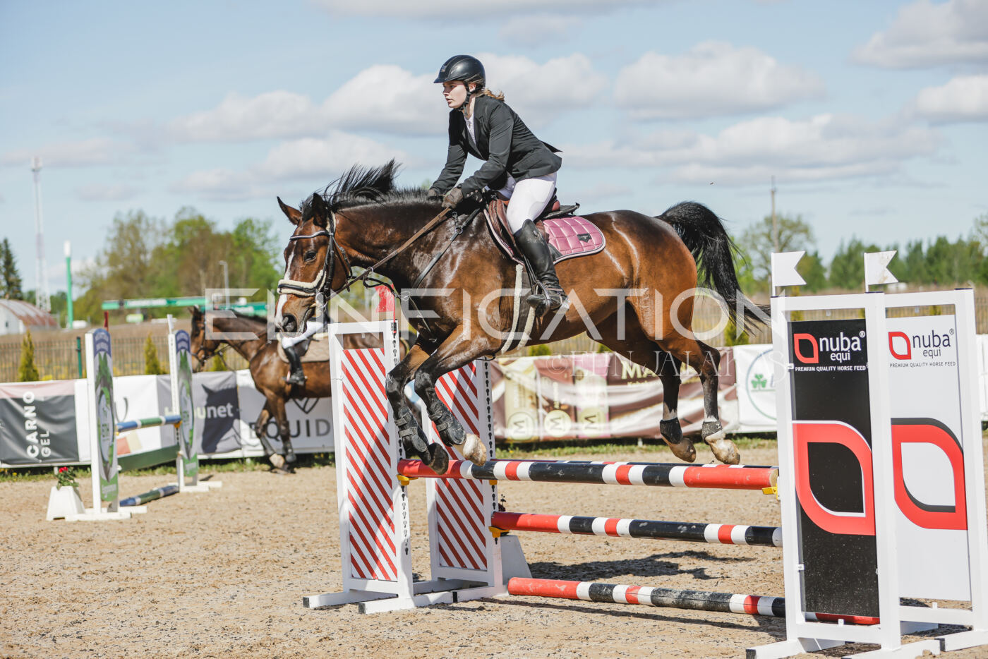 Gramina_Kevad_2026_80_573