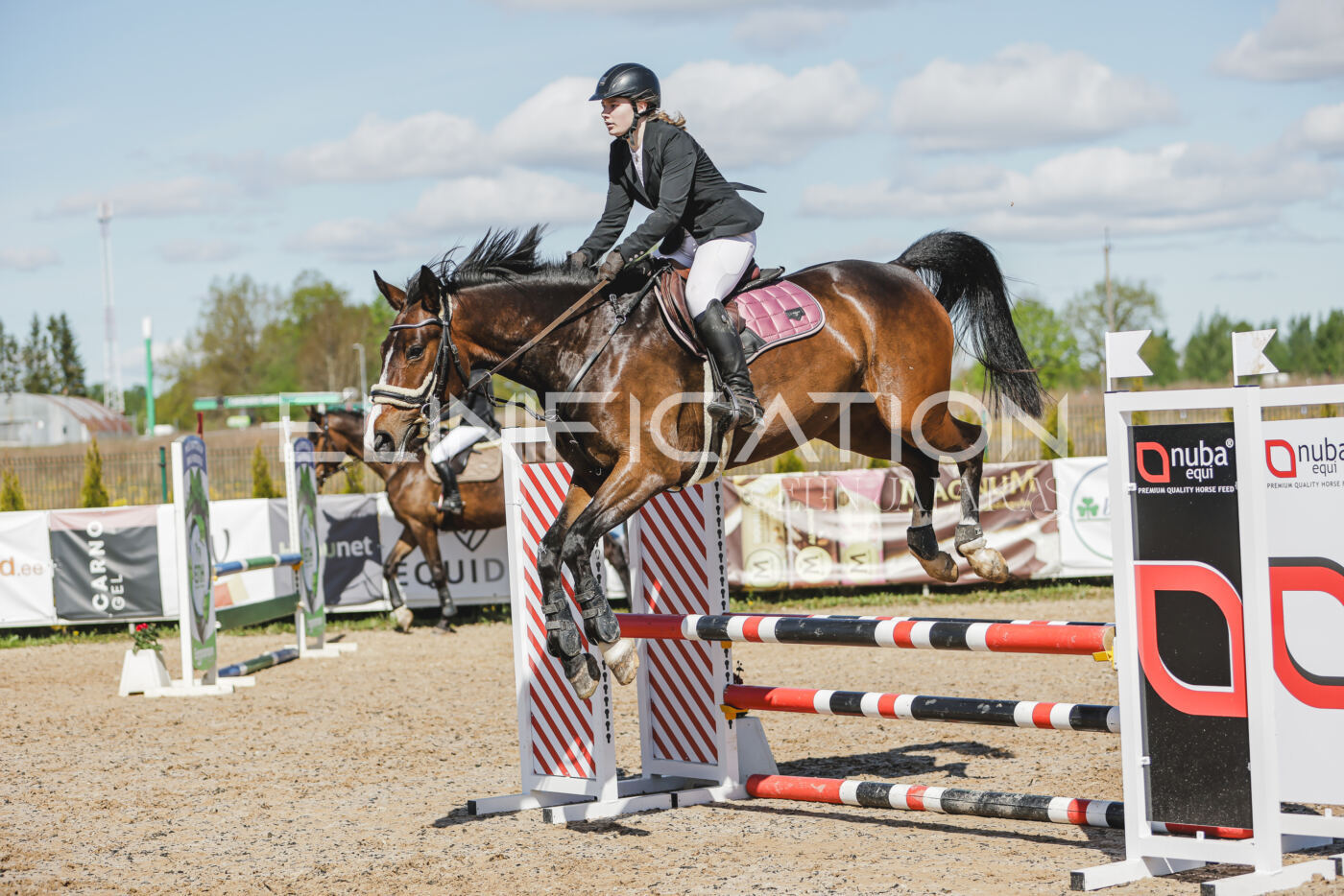 Gramina_Kevad_2026_80_574
