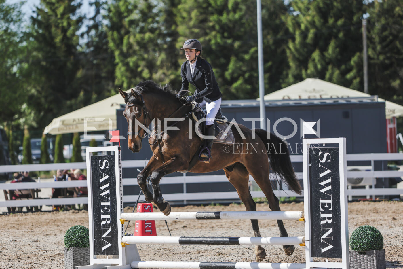 Gramina_Kevad_2026_80_575