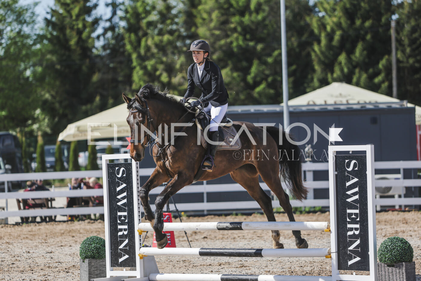 Gramina_Kevad_2026_80_576