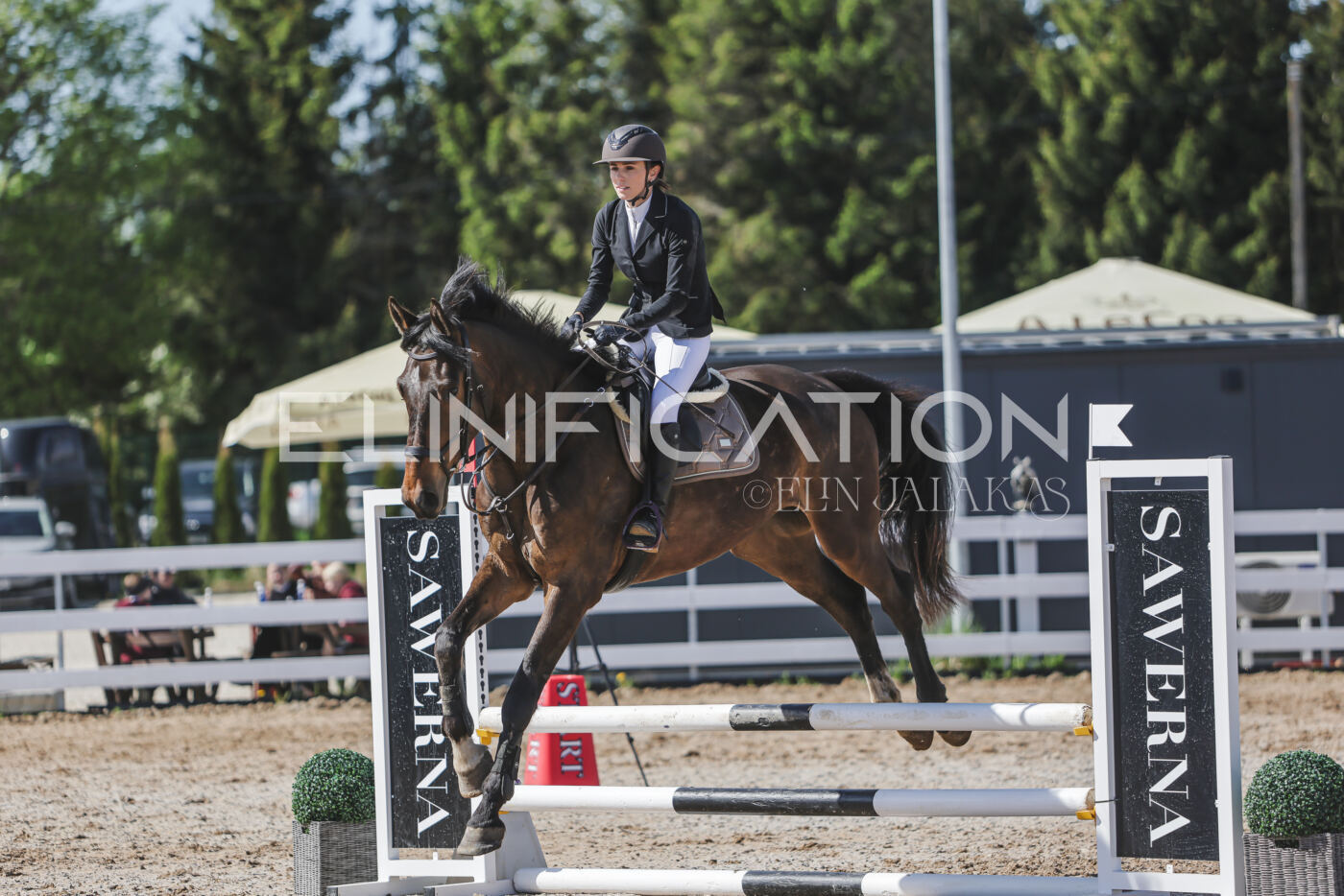Gramina_Kevad_2026_80_577