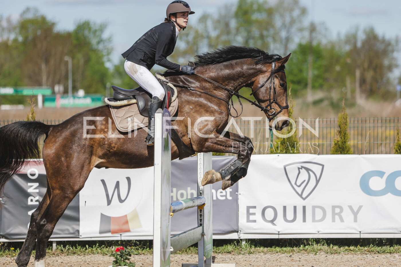 Gramina_Kevad_2026_80_585