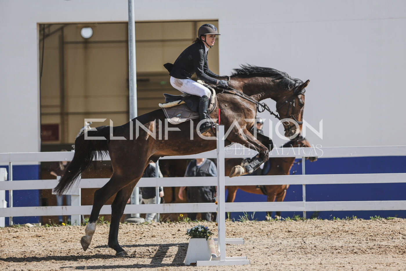 Gramina_Kevad_2026_80_589