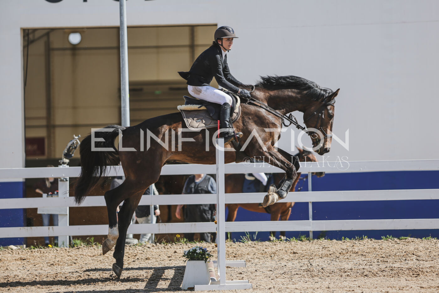 Gramina_Kevad_2026_80_590
