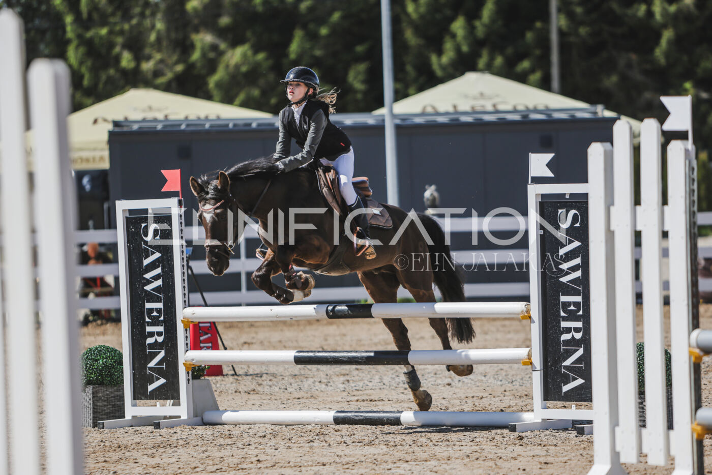 Gramina_Kevad_2026_90_001