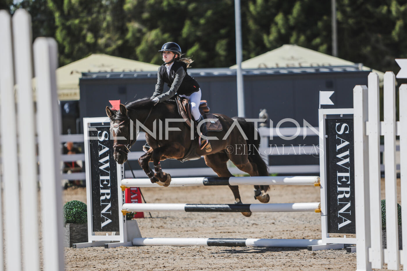 Gramina_Kevad_2026_90_002