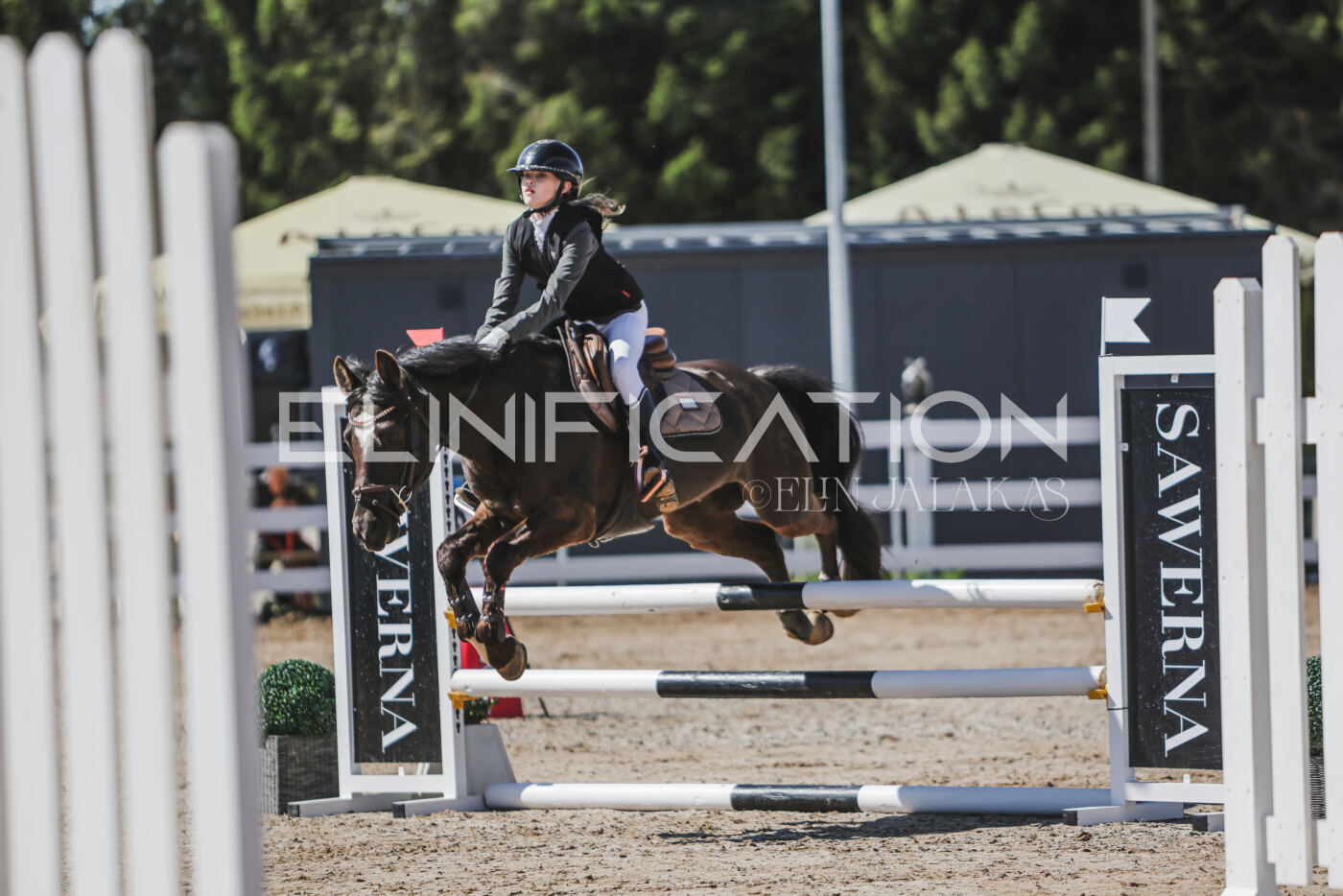 Gramina_Kevad_2026_90_003